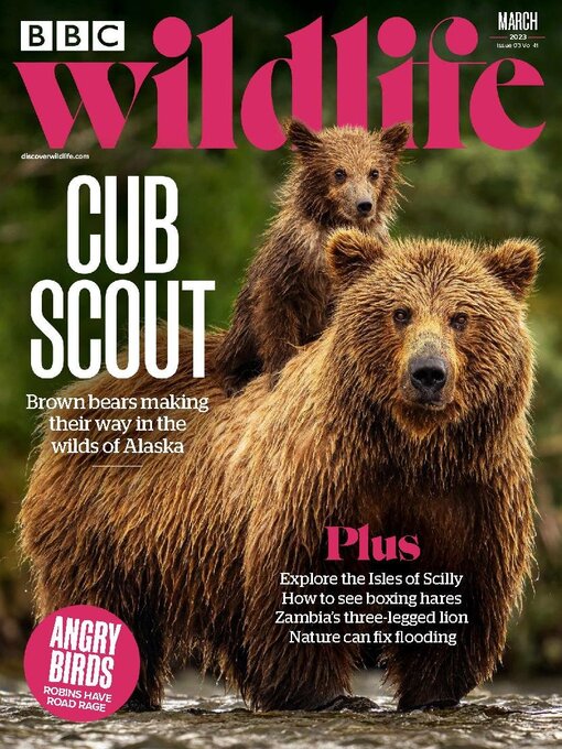 Cover image for BBC Wildlife Magazine